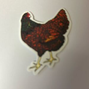 CHICKEN STICKER‎